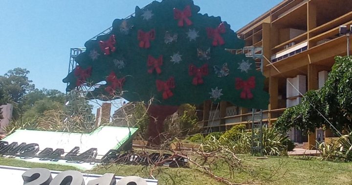 ¿Qué dice la gente acerca del nuevo caldén navideño?