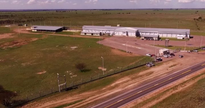 Frigorífico de Bernasconi: La provincia realizó la venta en más de 400 millones de pesos