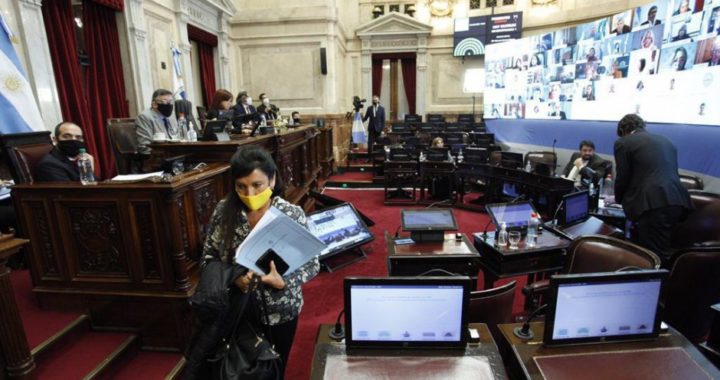 Senado: El Frente de Todos pide congelar el precio de los alquileres hasta marzo 2021