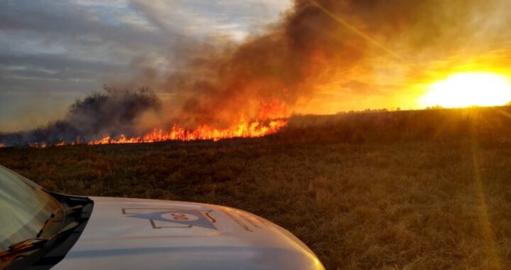 1300 hectáreas se vieron afectadas por incendios