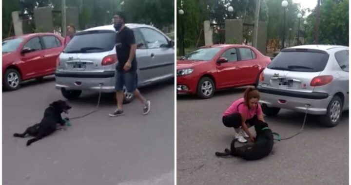 Repudiable: una mujer encadenó su perro al auto y lo arrastró durante siete cuadras