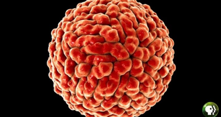 Una nueva cepa obligó a endurecer las restricciones en Londres: “esta variante del coronavirus está fuera de control”, advierten