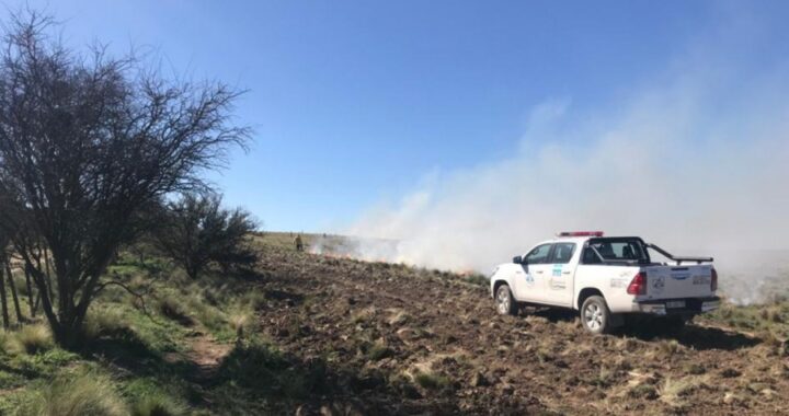 Defensa Civil y bomberos contuvieron un incendio de 800 hectáreas en Algarrobo del Águila