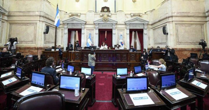 El Senado debate hoy el proyecto de acuerdo con el Fondo Monetario Internacional