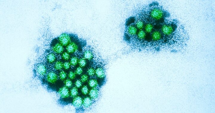 Qué es el “norovirus”, el nuevo virus que alerta a China