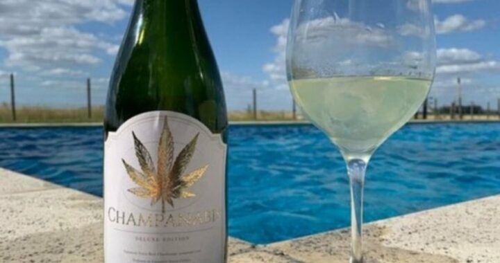 “Champannabis”: Investigan un espumante a base de marihuana que está hace más de un año en el mercado