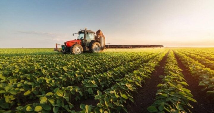 Nación autorizó el aumento en el precio del biodiesel  hasta un 90%