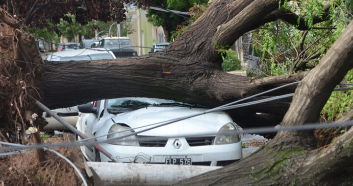 CPE: tiende a normalizarce la situación de las conexiones afectadas por la tormenta de diciembre