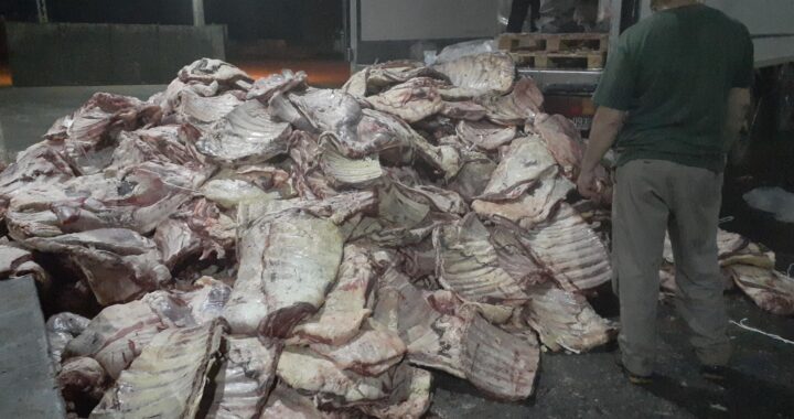 Decomisaron 8.300 kilos de carne vencida que iban desde La Pampa hacia el sur