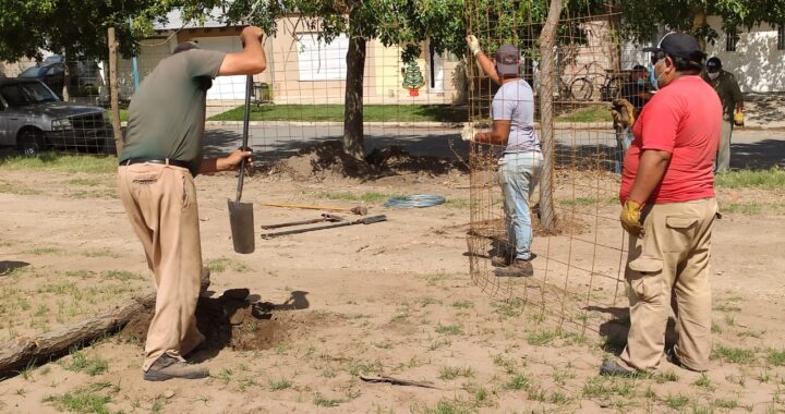 Embajador Martini: avanza la construcción de viviendas del Plan Mi Casa 1