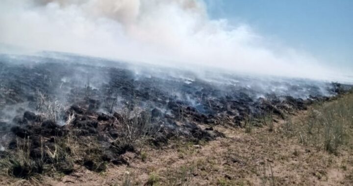 Quedó habilitada la temporada de quemas prescritas