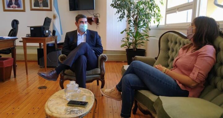 Se reunieron Alonso y Bensusán en busca de un armado electoral para las legislativas