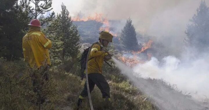 Tras los incendios, el Senado declaró zona de emergencia y desastre a Cushamen y el Bolsón