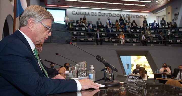 Ingresa a diputados la Ley de Seguridad Pública y Ciudadana: el proyecto de reforma orgánica de la Policía