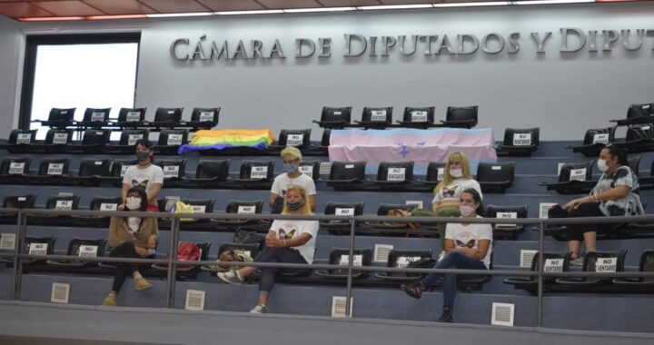 La Pampa aprobó la inclusión laboral trans en el Estado