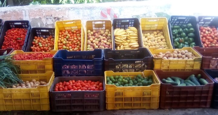 Santa Rosa vuelve a tener un Mercado Municipal