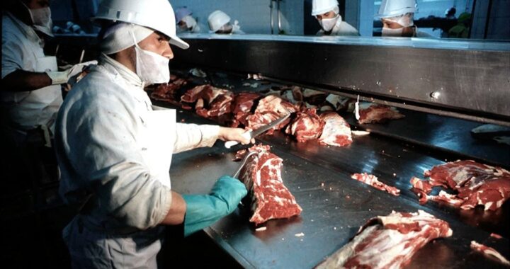 Especulan abrir las exportaciones de carne en menos de 30 días