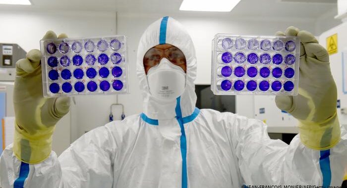 ¿Qué características tienen las cepas de Manaos y Andina detectadas en La Pampa?