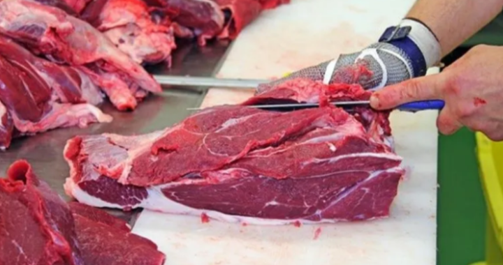 El gobierno cierra por 30 días la exportación de carne
