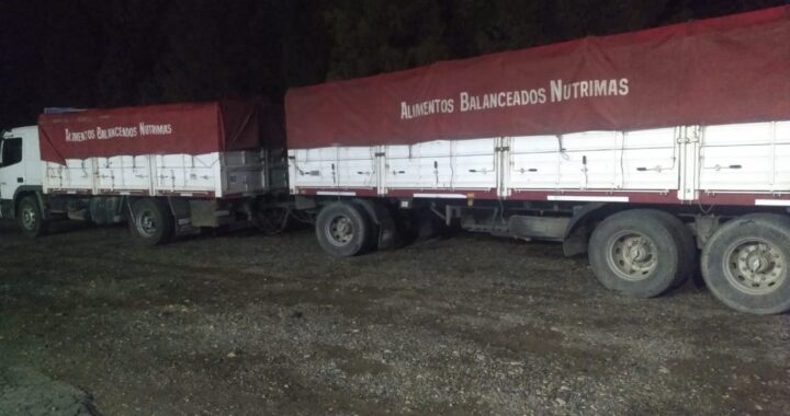 Retienen dos camiones que llevaban maíz y soja de contrabando a Río Negro