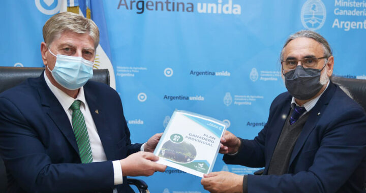 Ziliotto presentó a Basterra los lineamientos para actualizar y reformular el Plan Ganadero Provincial con apoyo del Gobierno Nacional