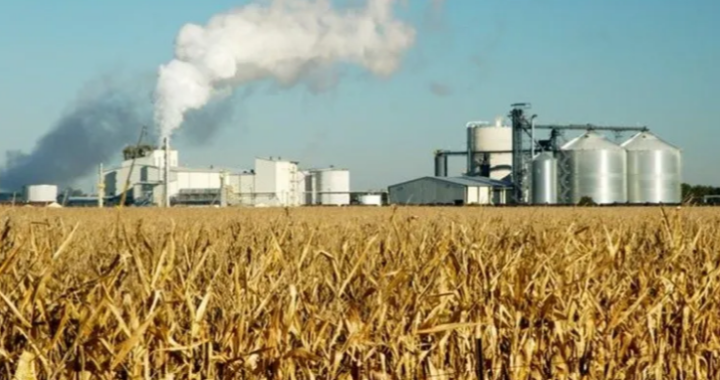 Prorrogan Ley de Biocombustibles, mientras el Congreso discute el nuevo marco regulatorio