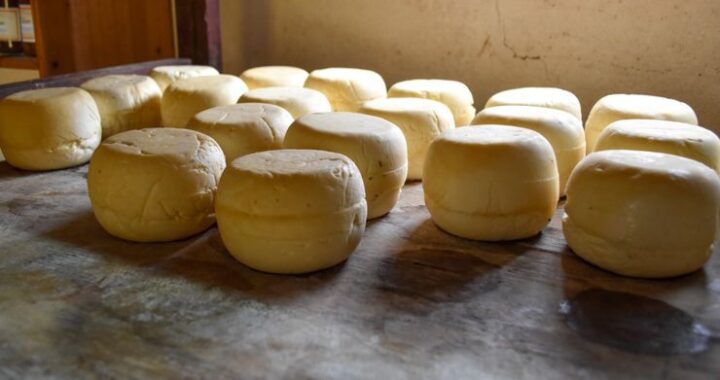 Nueva convocatoria para empresas elaboradoras de alimentos y bebidas “Programa DesarrollAR”