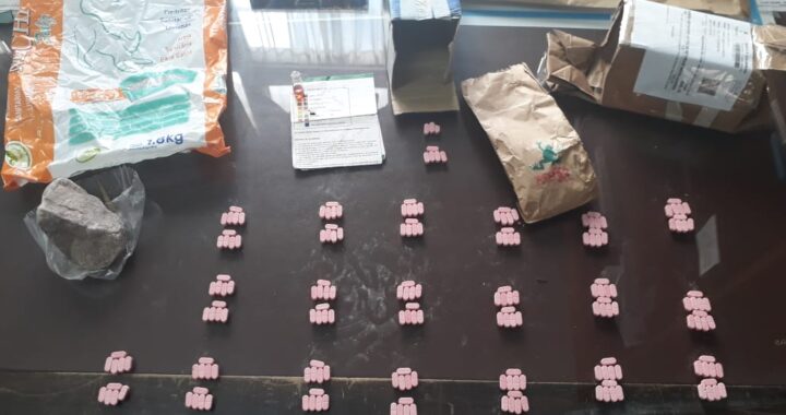 Secuestraron más de 190 pastillas de anfetaminas en un control de encomiendas en la Terminal