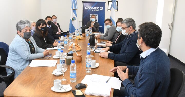 I-Comex: la Agencia evalúa 45 proyectos de inversores privados por más de $ 2.000 millones