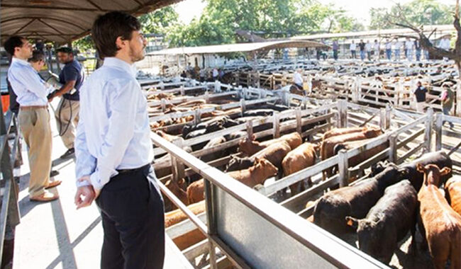 Hay preocupación por un posible aumento de la carne por la suba de la hacienda en el mercado de Liniers