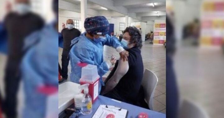 Fotografiaron a Javier Milei aplicándose la dosis contra el covid y ahora los antivacunas se sienten defraudados