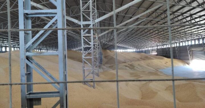 La AFIP realizó el mayor decomiso de granos de la historia