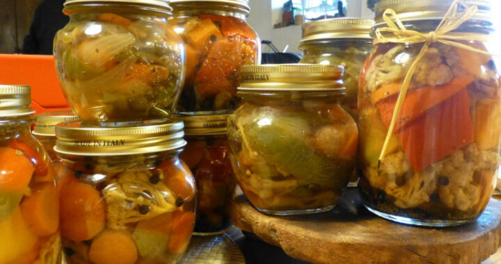 La Pampa: Alertan sobre una marca de escabeches de jabalí y ciervo y piden no consumirla