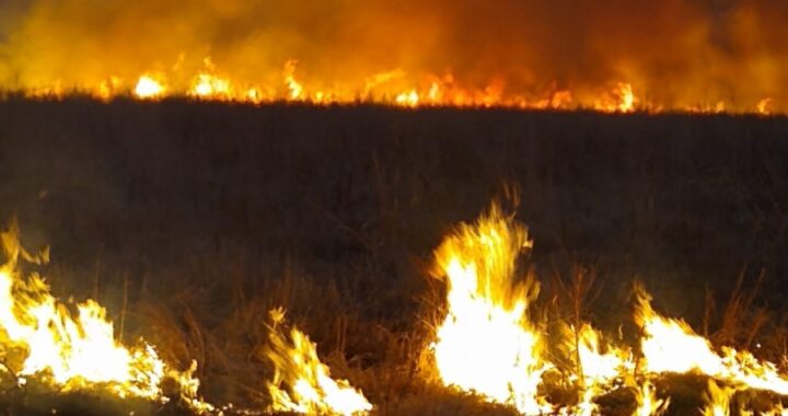Se contuvo un incendio entre las Rutas Provinciales 13 y 32