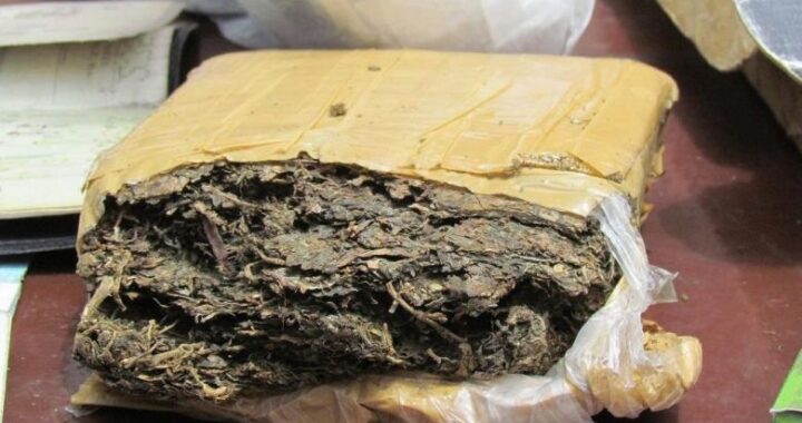 Secuestraron más de 7 kilos de marihuana en Santa Rosa: la tenían escondida en el horno y la heladera