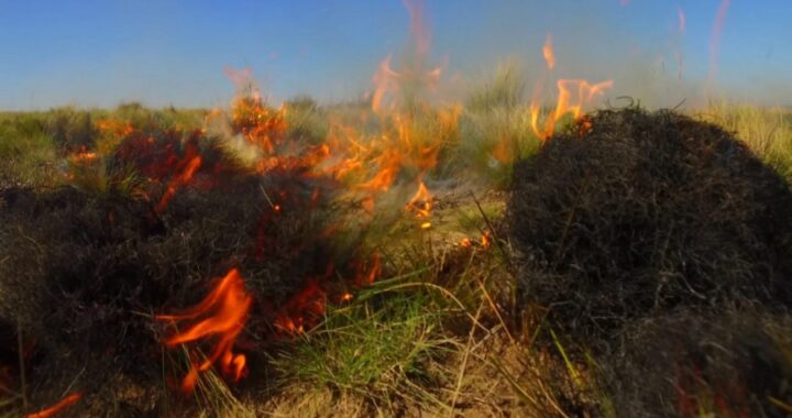 Habilitan la temporada de quemas prescriptas
