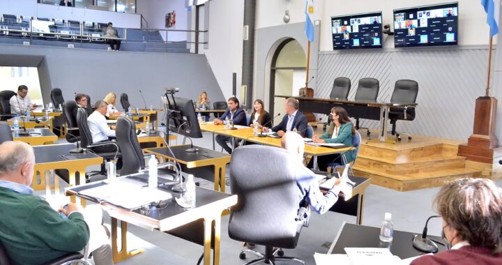 “Saber la verdadera identidad biológica es un derecho, por eso esta ley es tan importante”