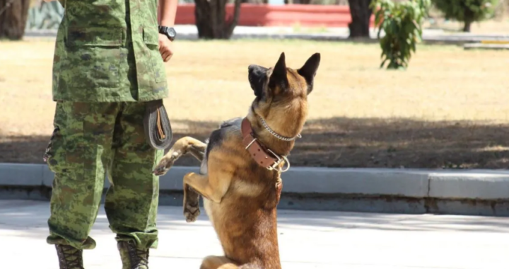Encontraron muerto al militar “escrachado” que torturó y asesinó a un perro