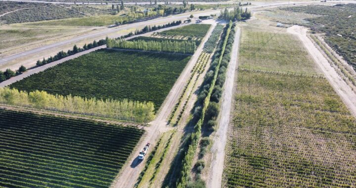 Hasta fin de mes continúa vigente la línea de créditos para el sector frutícola