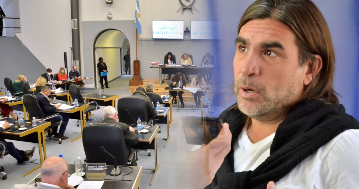 Diputados aprobó la ley del Indentidad Biológica: “Es realmente emocionante por todo lo que significa el camino de la búsqueda”