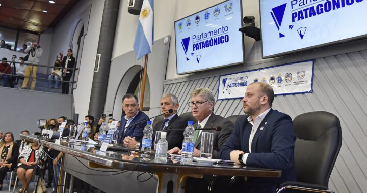 “Nuestros objetivos requieren grandeza, no admiten mezquindades ni grietas que dificulten propósitos comunes”, dijo Ziliotto