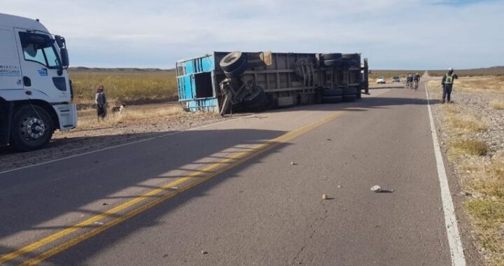La Pampa: Volcó un camión con vaquillonas y los dueños impidieron que se lleven los animales