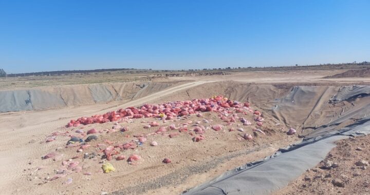 Planta de residuos de Toay: Concluyó la construcción de la segunda celda