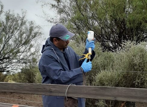 Inicia 2° Campaña de Vacunación Antiaftosa 2022