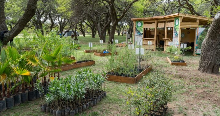 Regresa la Expo Vivero al Jardín Botánico de Toay