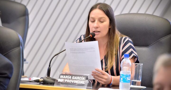 La diputada Agustina García criticó al Ejecutivo por “escasos fondos” para el área de Mujer, Género y  Diversidad