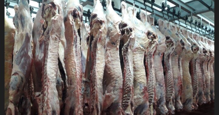 Los frigoríficos pampeanos están listos para implementar el troceo de la carne