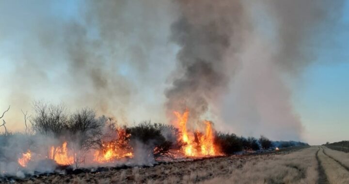 Incendios en temporada invernal afectaron más de 36 mil hectáreas