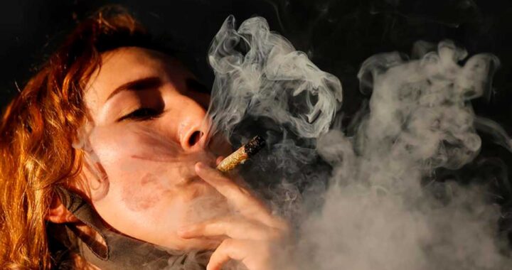 THC: Uruguay lanza a la venta una marihuana más potente