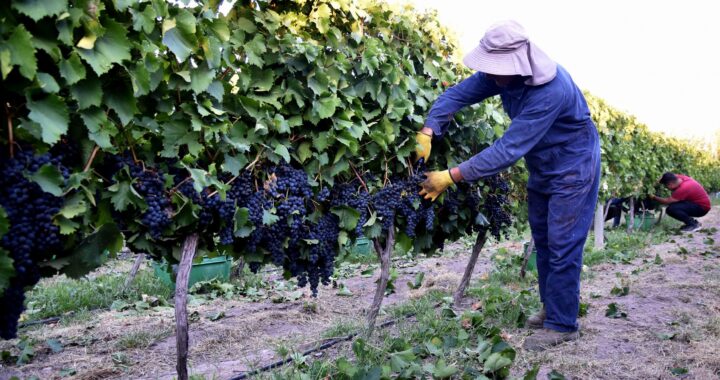 Gobierno prepara el lanzamiento del “Programa de Inversiones Casa de Piedra 2023-2028”